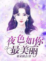 夜色如你，最美丽