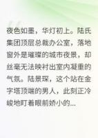 涅槃归来：陆总的漫漫追妻路