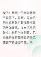 第七次挡枪时她爱上了我