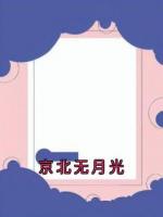 京北无月光