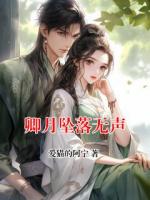 卿月坠落无声