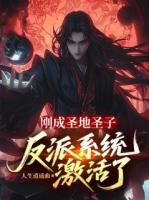 刚成圣地圣子,反派系统激活了!