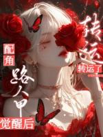 综影视:路人甲觉醒后配角转运了