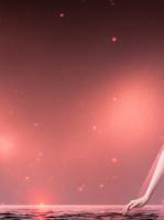 妻子带男人回城,我守着草药过日子