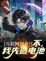 互联网创业?不,我先造电池