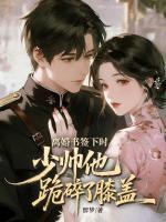 离婚书签下时,少帅他跪碎了膝盖