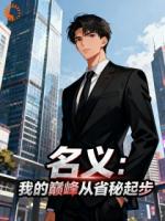 名义:我的巅峰从省秘起步