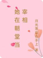 她在朝堂当宰相