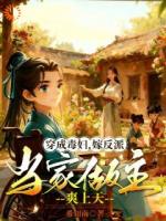 穿成毒妇，嫁反派当家做主爽上天