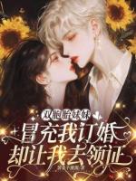 双胞胎妹妹冒充我订婚，却让我去领证