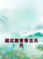 越过霜雪得见天光