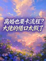 离婚也要卡流程?大佬的借口太假了