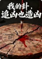 我的卦，追凶也造凶