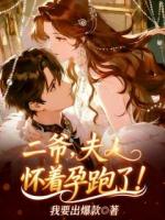 二爷,夫人怀着孕跑了!