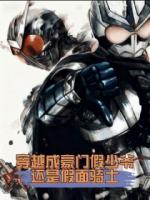 穿越成假少爷，还得变身假面骑士