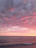 茶凉如夜人如雾