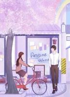 玄学大佬穿成霸总契约妻