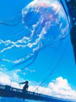 为了飞升，我逼着满朝奸臣给我尽孝