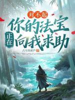 对不起，你的法宝正在向我求助