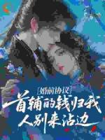 婚前协议:首辅的钱归我,人别来沾边