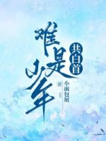 难是少年共白首