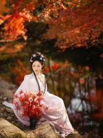 开局向日葵，我率植物横扫丧尸