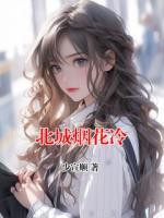 北城烟花冷