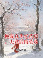 换成真失忆药后，夫君后悔莫及