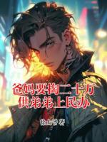 爸妈要掏二十万供弟弟上民办