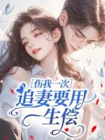 伤我一次，追妻要用一生偿