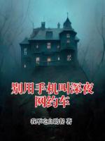 别用手机叫深夜网约车