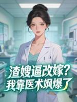渣嫂逼改嫁？我靠医术飒爆了