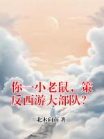 你一小老鼠，策反西游大部队？