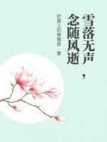 雪落无声,念随风逝