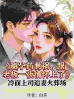 避孕药惹祸，跟老板一夜情怀上了