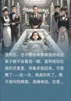 结婚七年他当我是空气，葬礼那天他疯了