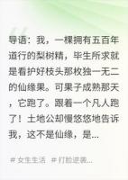 我帮仙果追男人，结果它竟是我嫁妆