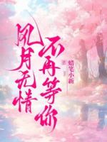 风月无情，不再等你