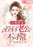 闪婚鲜妻：BOSS老公不寻常