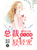 重生暖婚:总裁轻轻宠